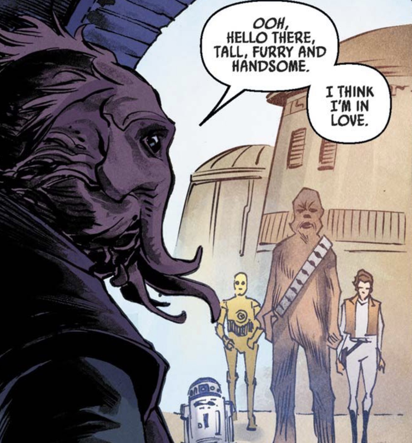 Chewbacca & C-3PO in a Star Wars comic panel: "Ooh, hello there, tall, furry and handsome. I think I'm in love."