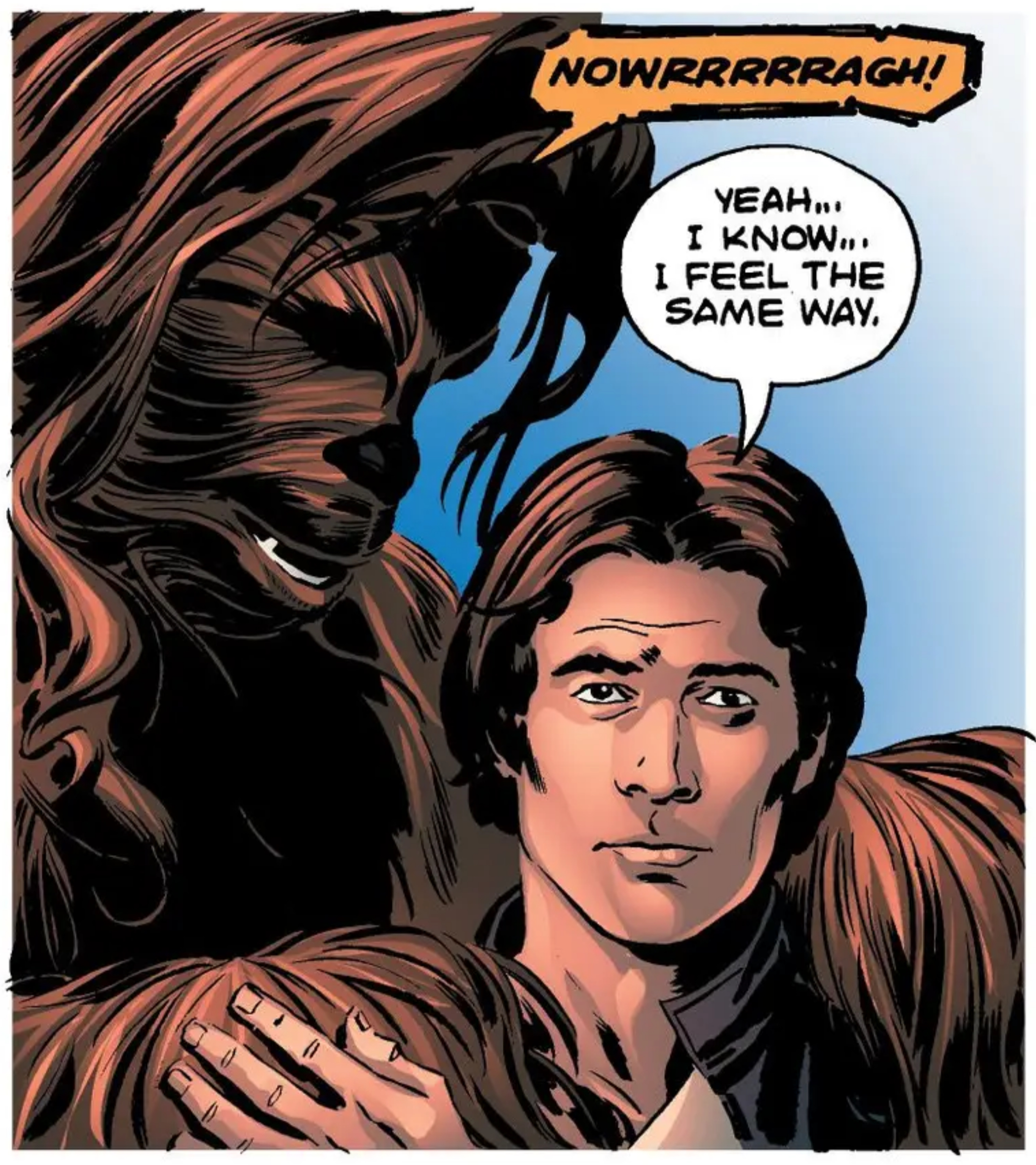 Chewbacca & Han Solo in a Star Wars comic panel: "Yeah, I know. I feel the same way."