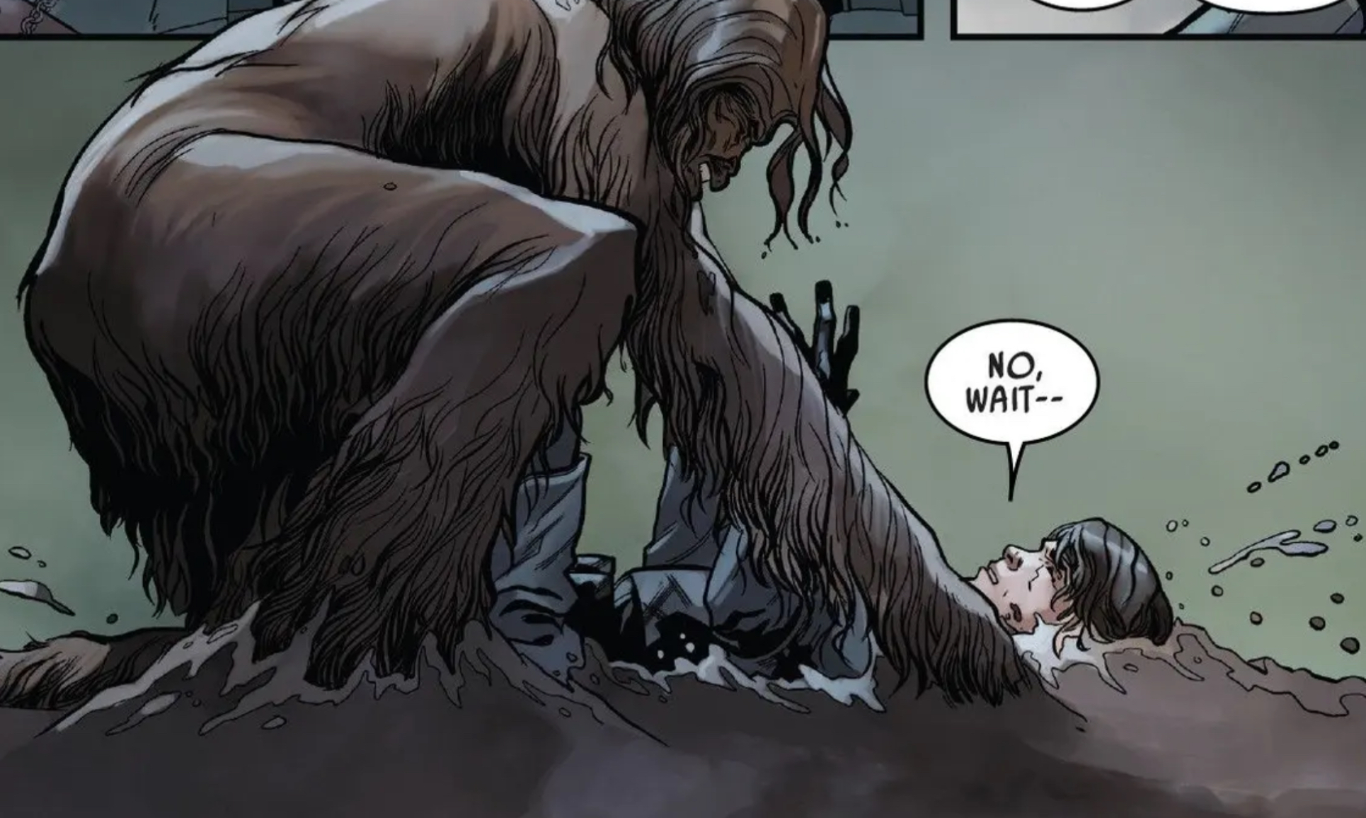 Chewbacca & Leia Organa in a Star Wars comic panel: "No, wait."