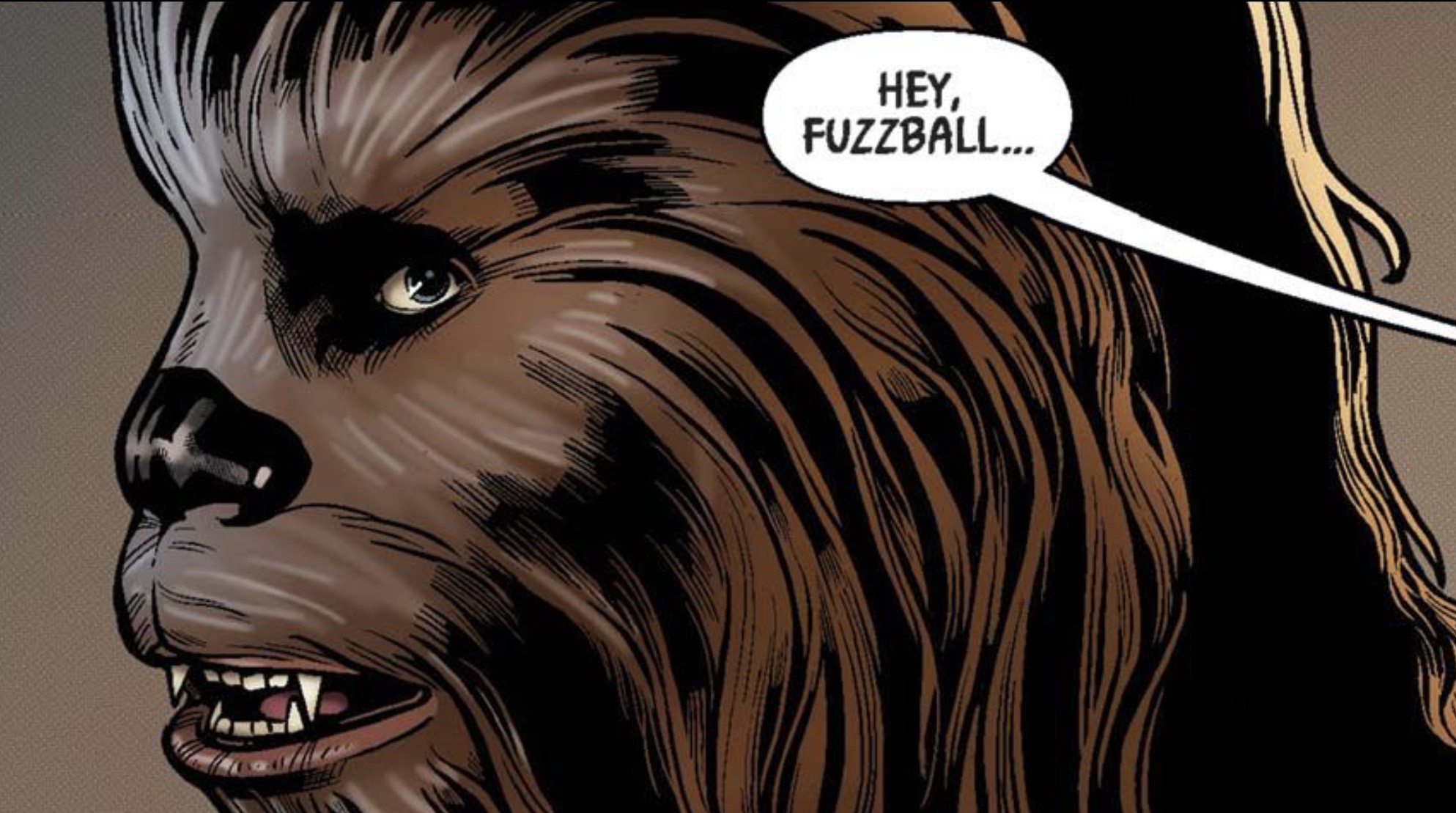 Chewbacca in a Star Wars comic panel: "Hey, fuzzball..."