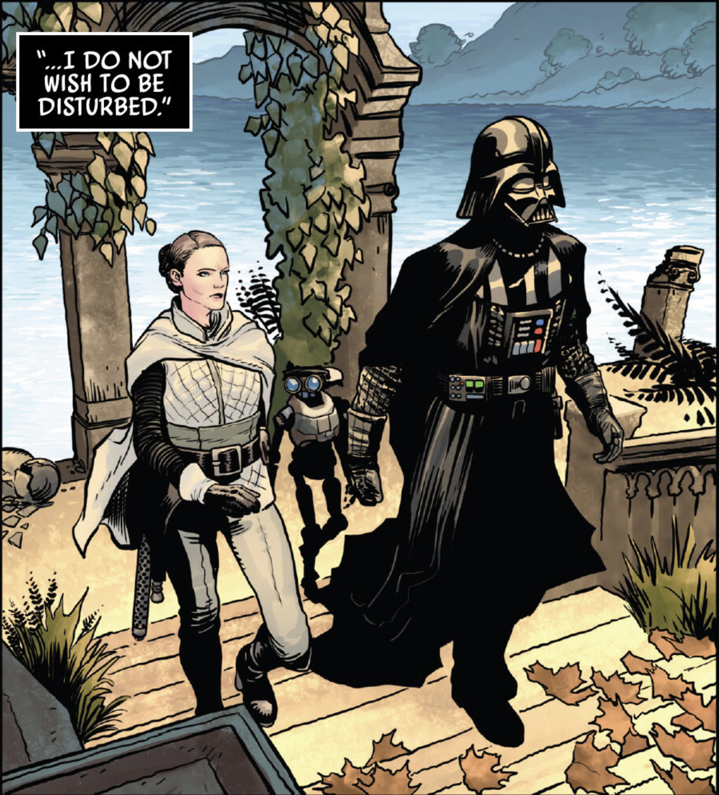 Darth Vader & Sabé in a Star Wars comic panel: "...I do not wish to be disturbed."
