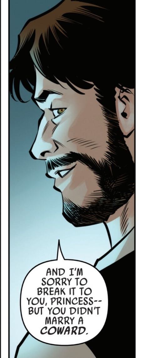 Han Solo in a Star Wars comic panel: "And I'm sorry to break it to you, Princess, but you didn't marry a coward."