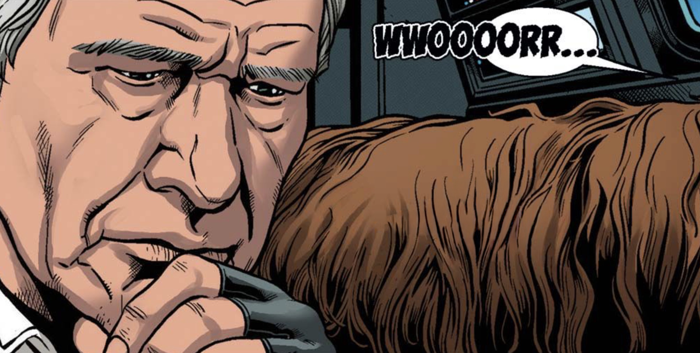 Han Solo & Chewbacca in a Star Wars comic panel: "Whooorr..."