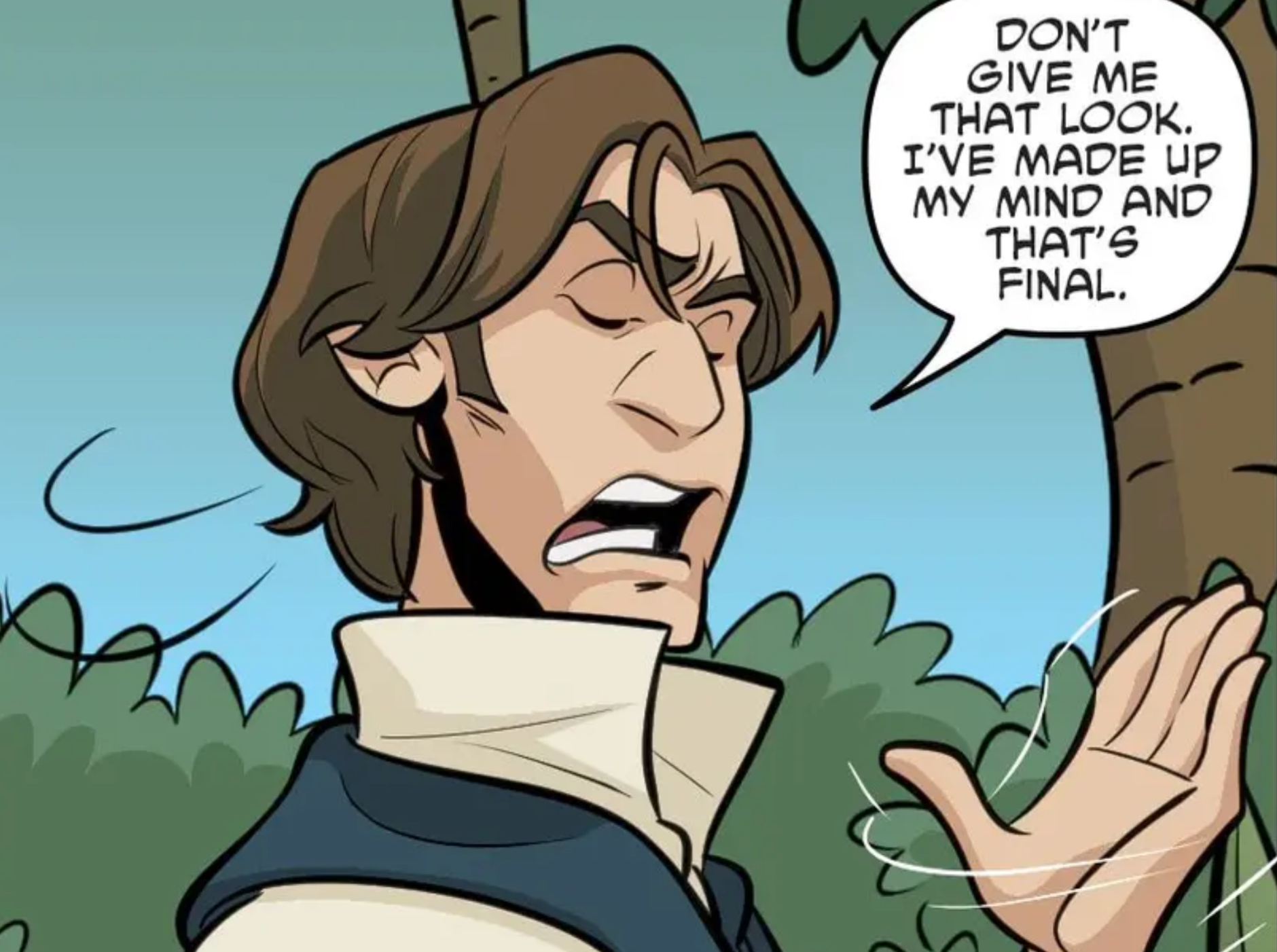 Han Solo in a Star Wars comic panel: "Don't give me that look. I've made up my mind and that's final."
