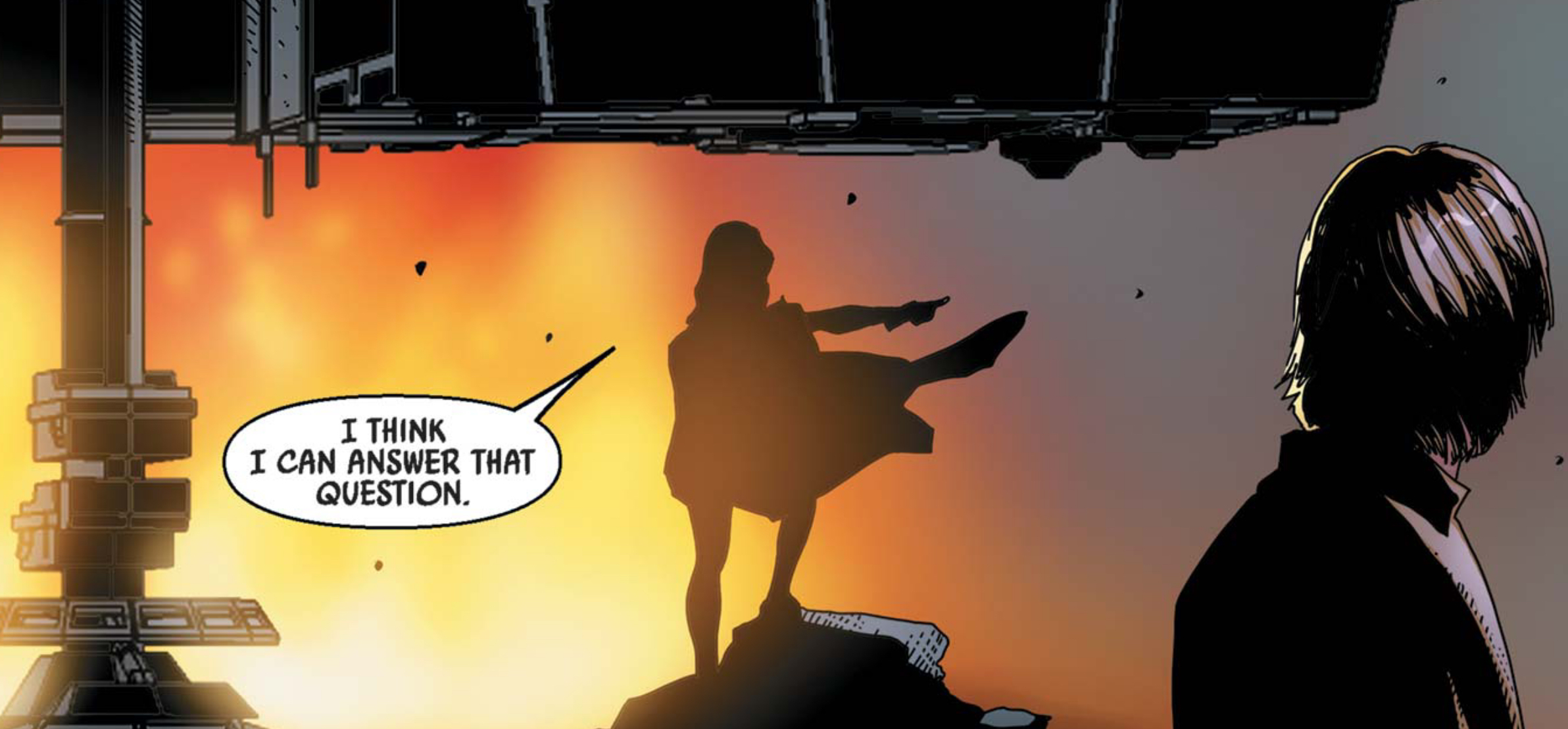 Luke Skywalker in a Star Wars comic panel: "I think I can answer that question."