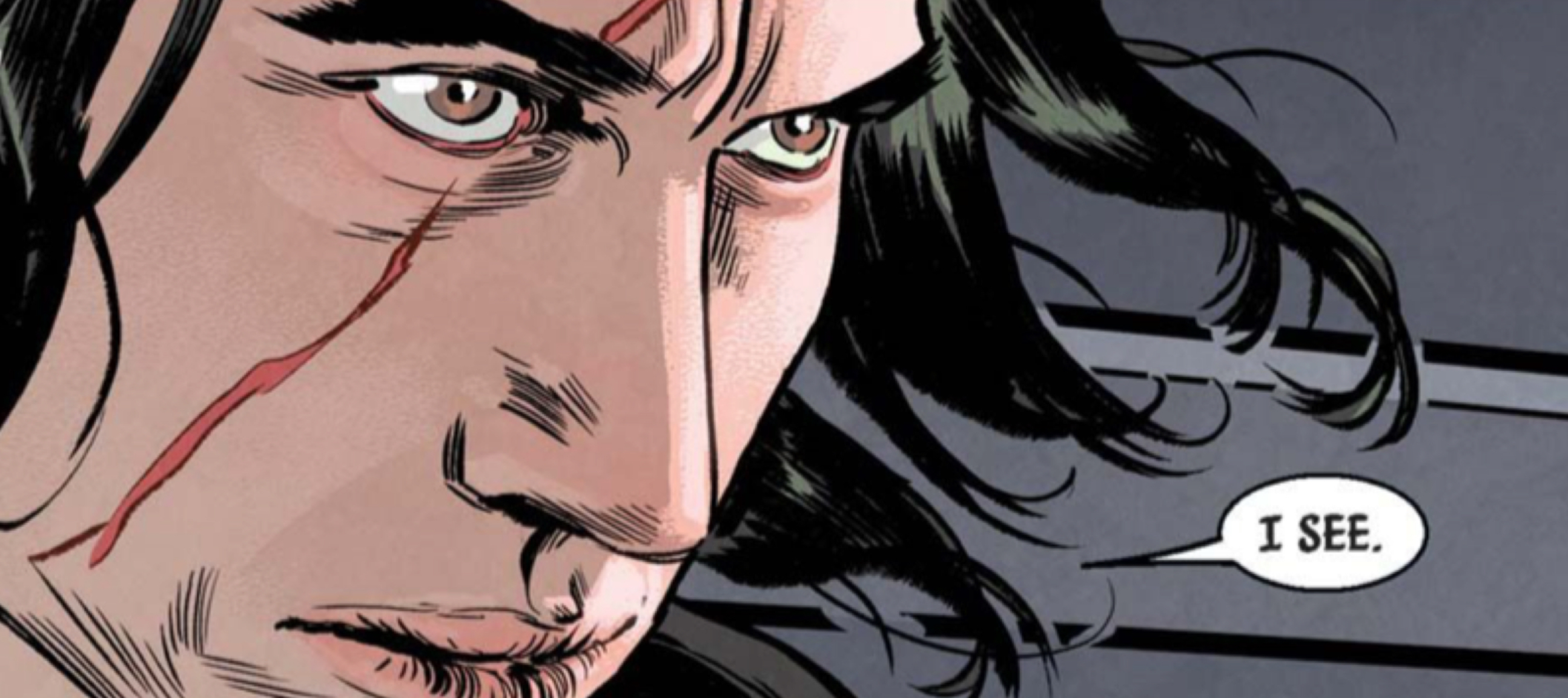 Kylo Ren in a Star Wars comic panel: "I see."