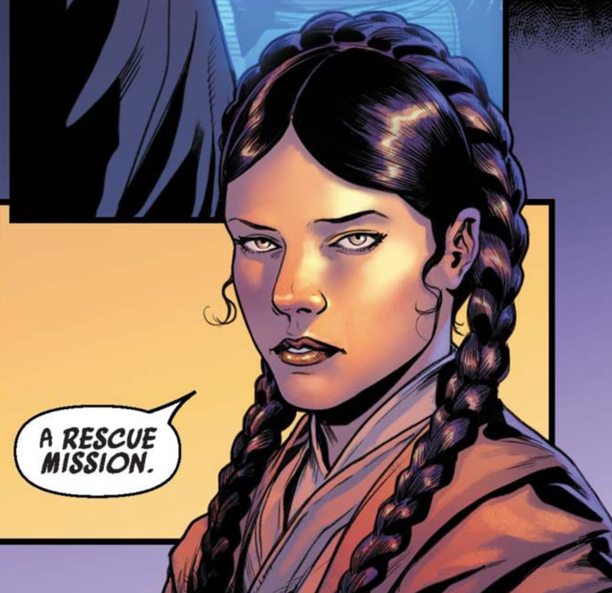 Leia Organa in a Star Wars comic panel: "A rescue mission."
