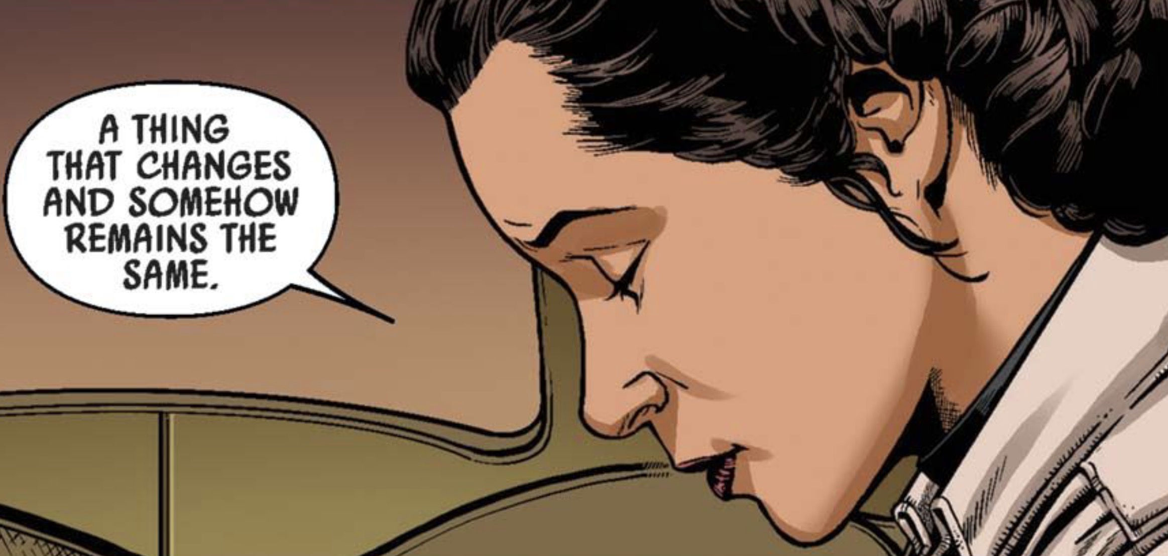 Leia Organa in a Star Wars comic panel: "A thing that changes and somehow remains the same."