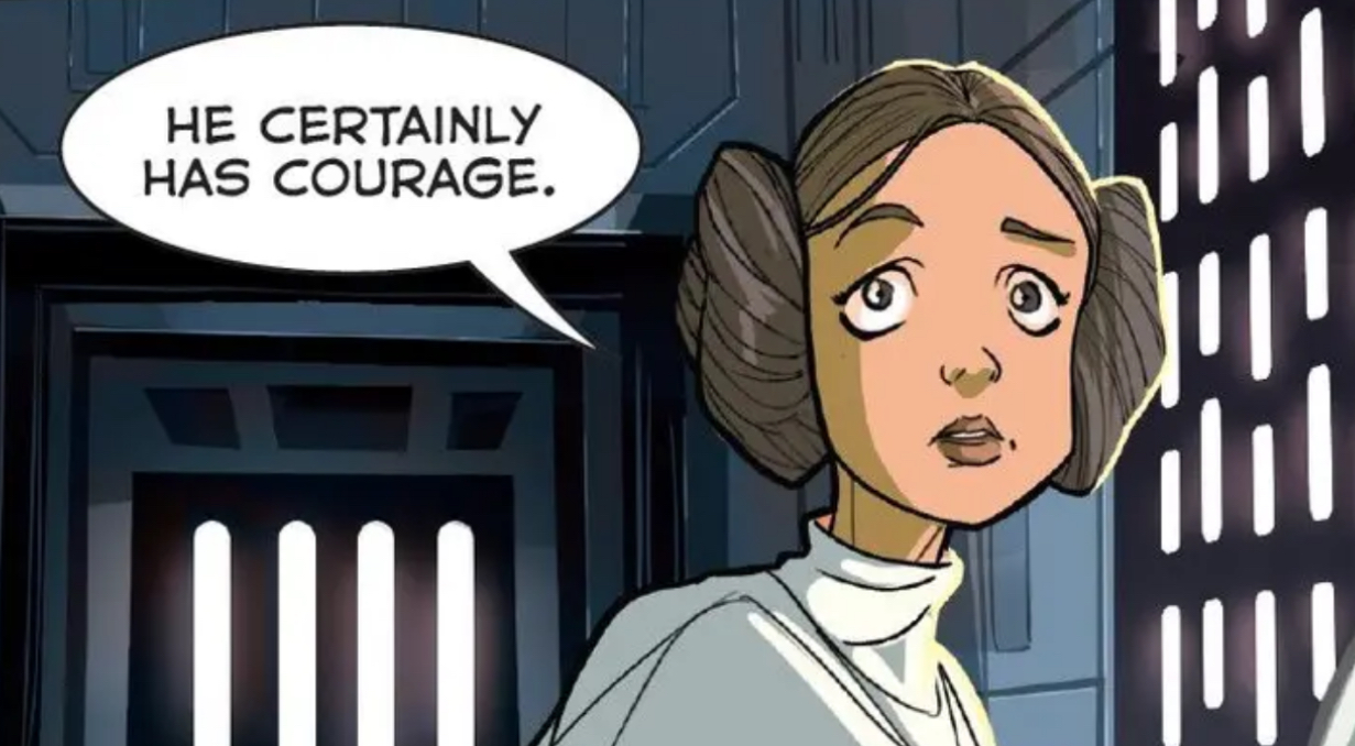 Leia Organa in a Star Wars comic panel: "He certainly has courage."