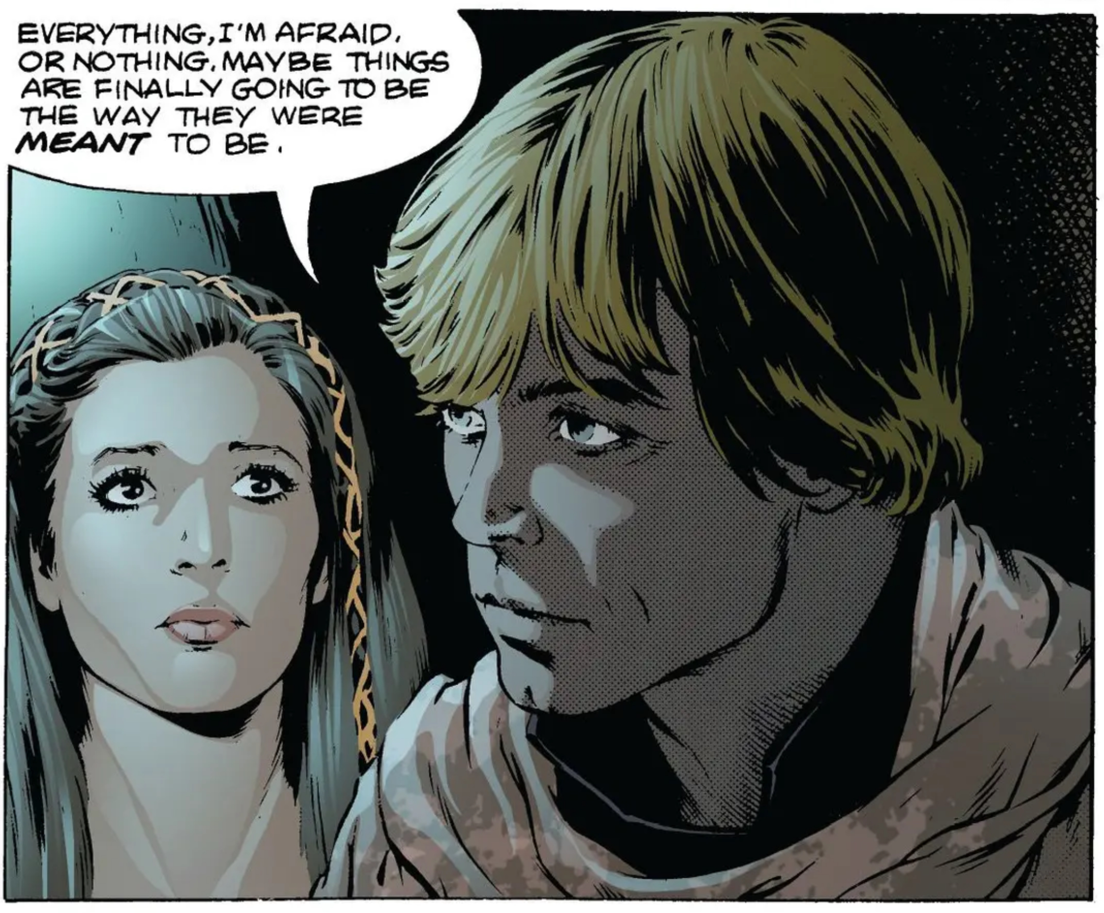 Luke Skywalker & Leia Organa in a Star Wars comic panel: "Everything, I'm afraid. Or nothing. Maybe things are finally going to be the way they were meant to be."