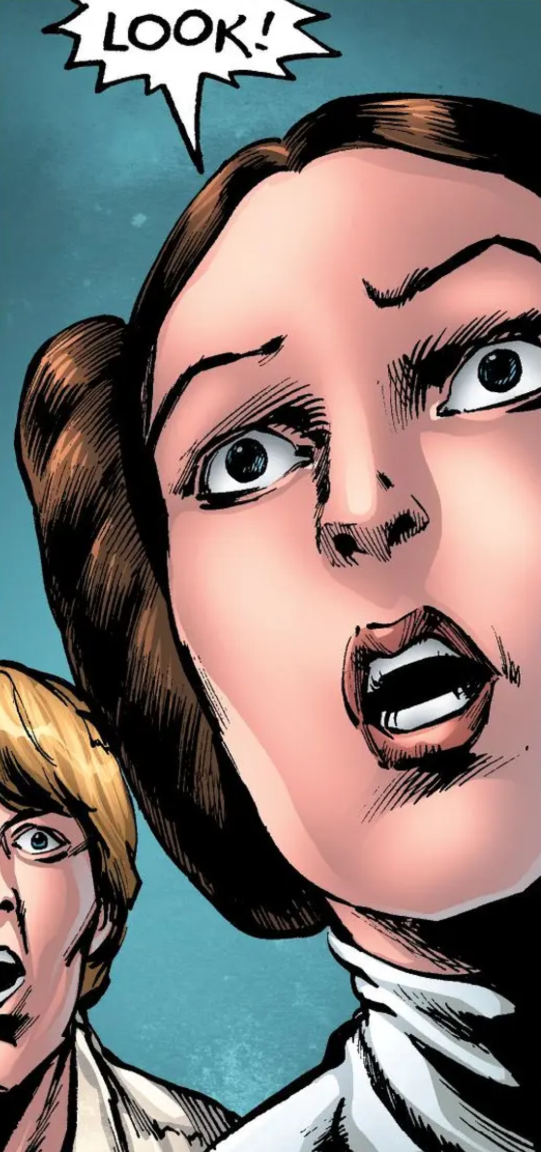 Leia Organa & Luke Skywalker in a Star Wars comic panel: "Look!"