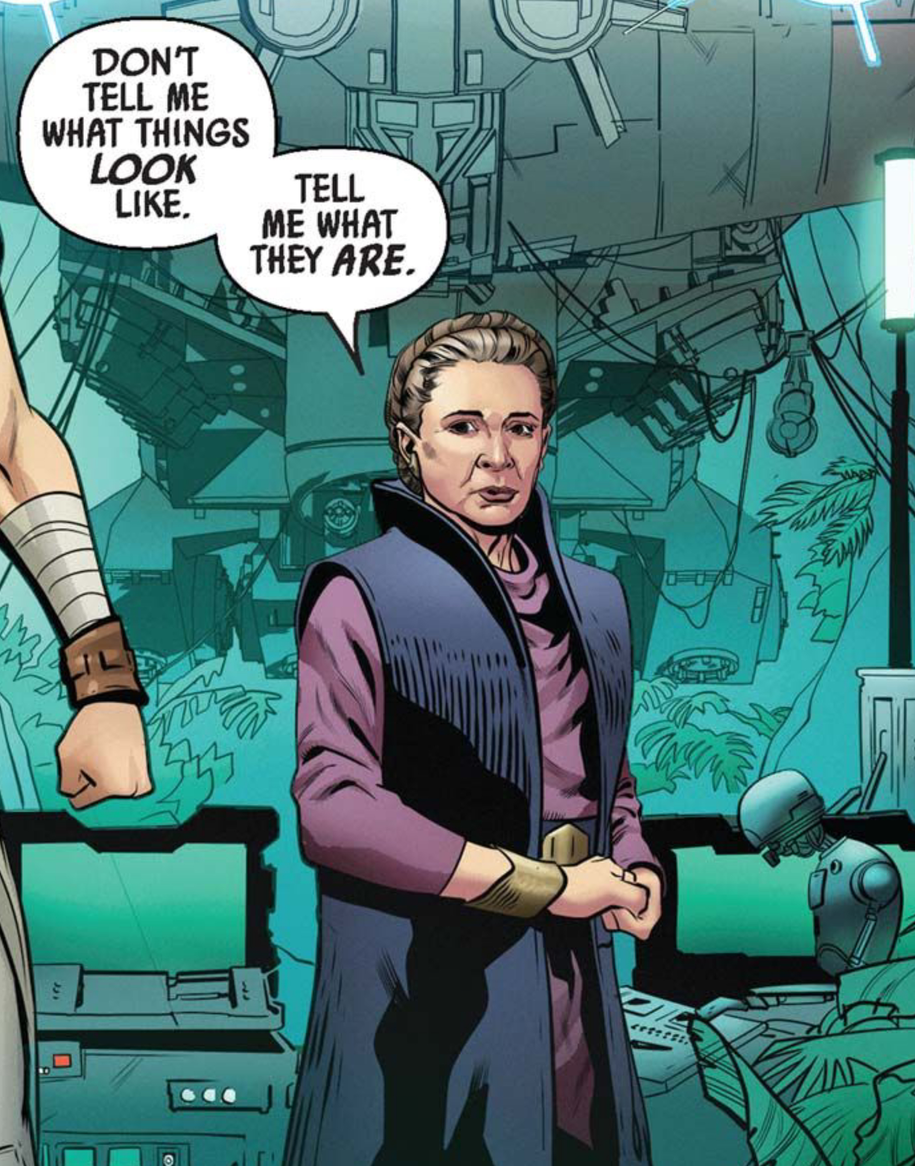 Leia Organa in a Star Wars comic panel: "Don't tell me what things look like, tell me what they are."