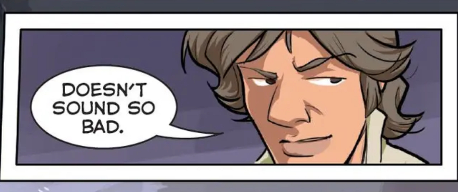 Luke Skywalker in a Star Wars comic panel: "Doesn't sound so bad."
