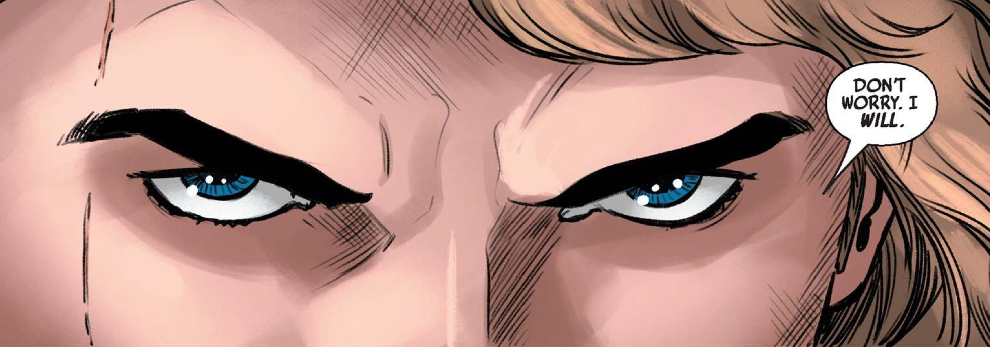 Luke Skywalker in a Star Wars comic panel: "Don't worry. I will."