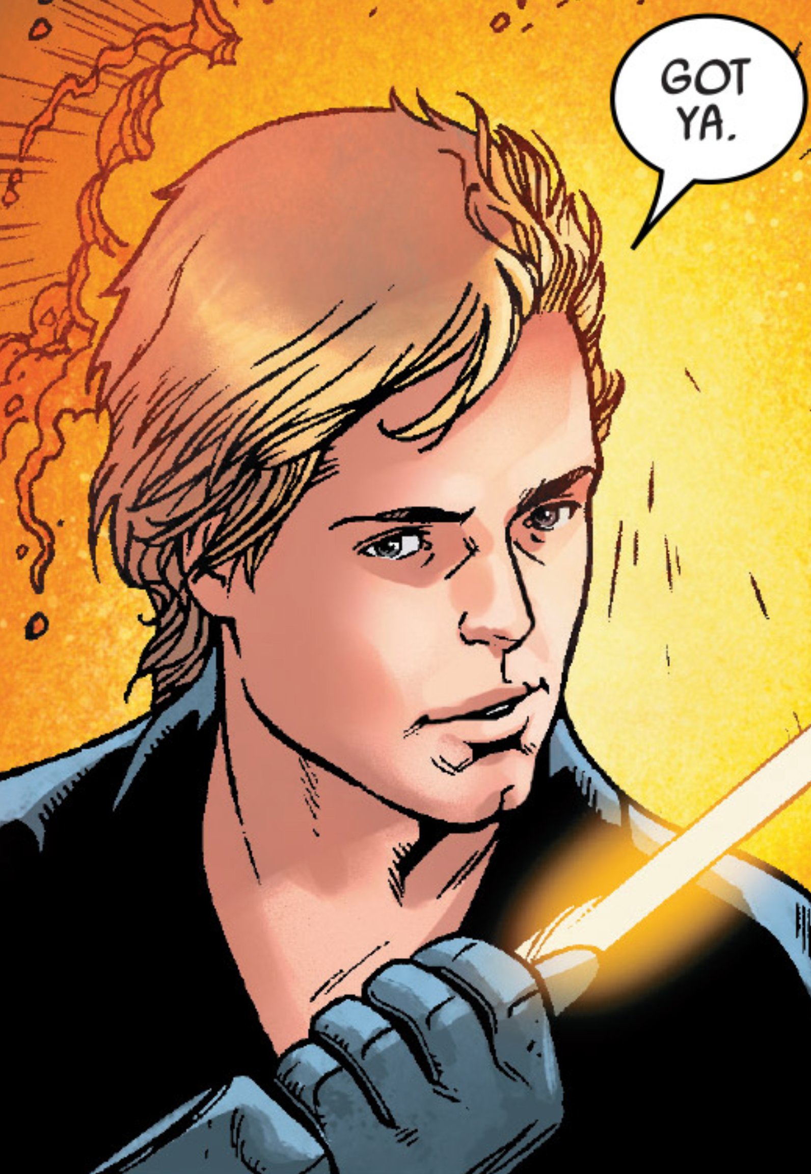 Luke Skywalker in a Star Wars comic panel: "Got ya."