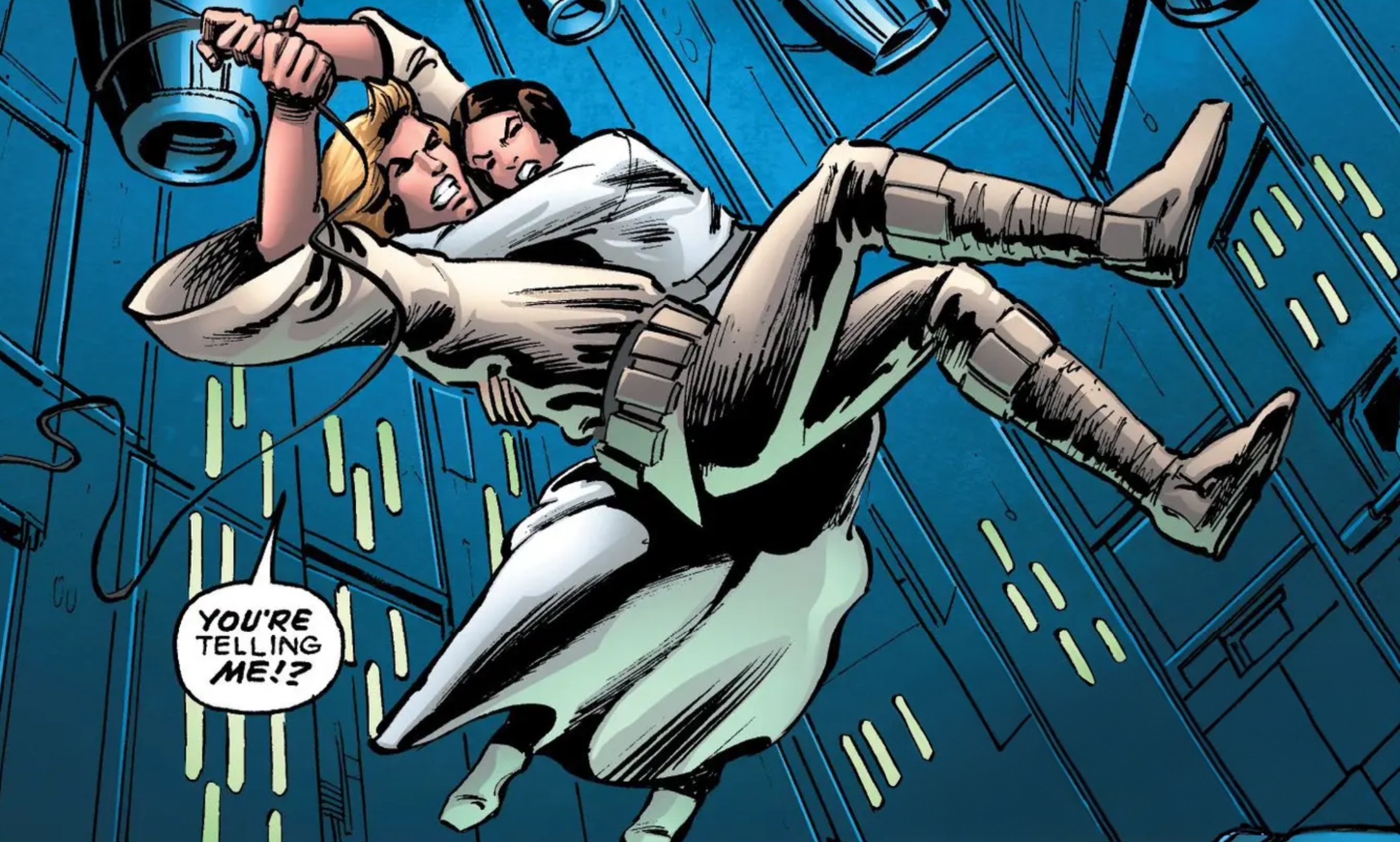 Luke Skywalker & Leia Organa in a Star Wars comic panel: "You're telling me!?"