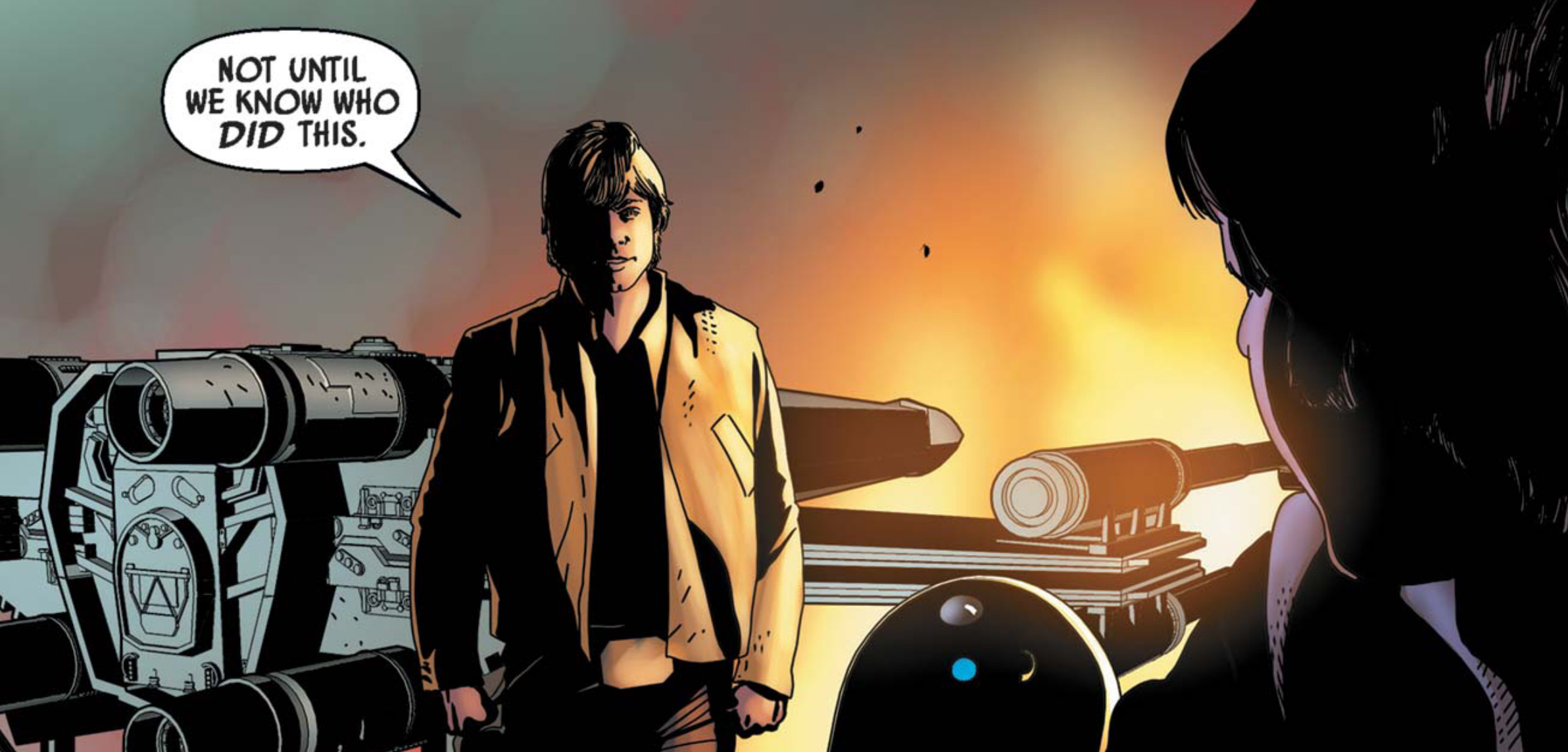 Luke Skywalker in a Star Wars comic panel: "Not until we know who did this."