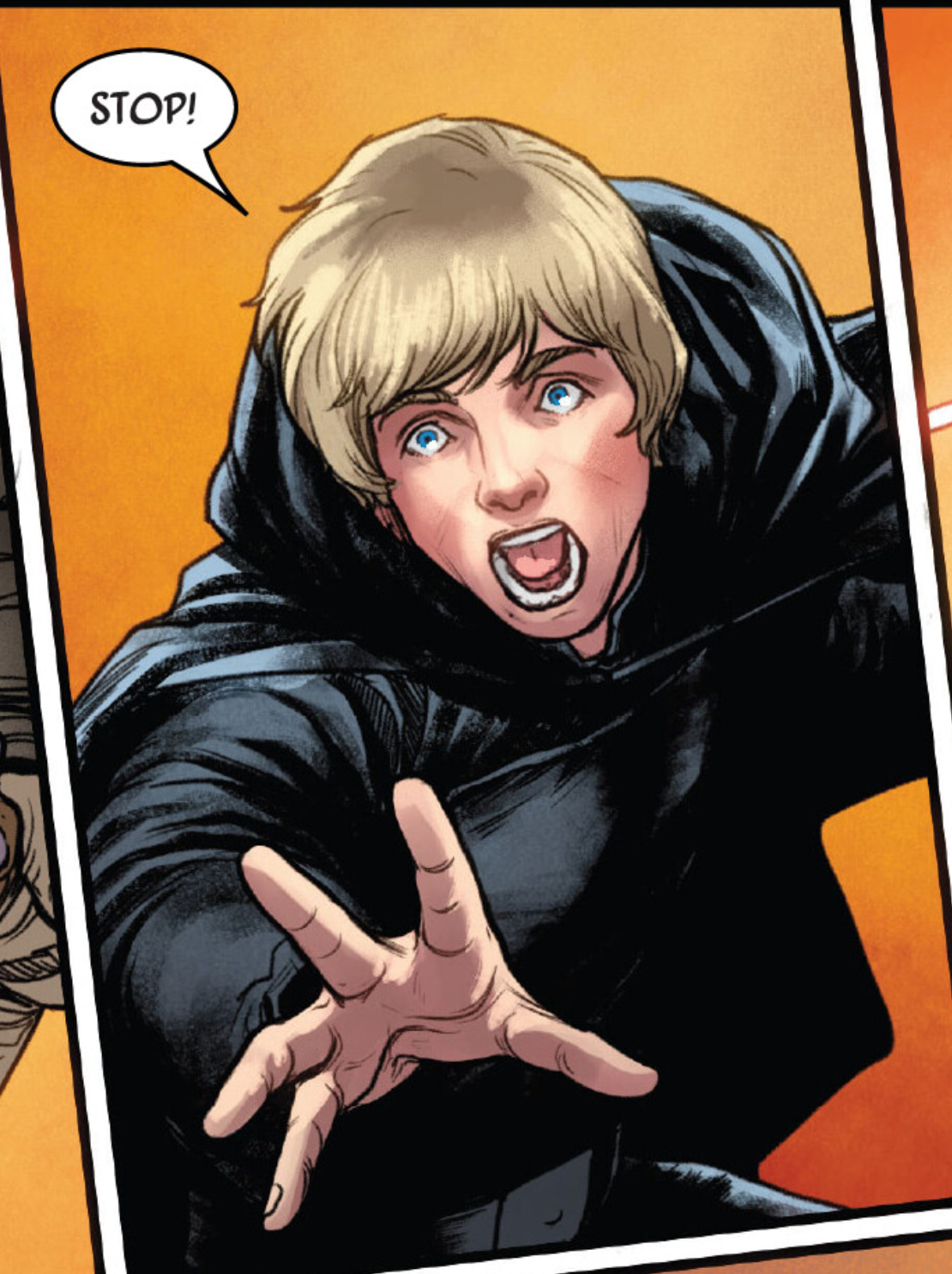 Luke Skywalker in a Star Wars comic panel: "Stop!"