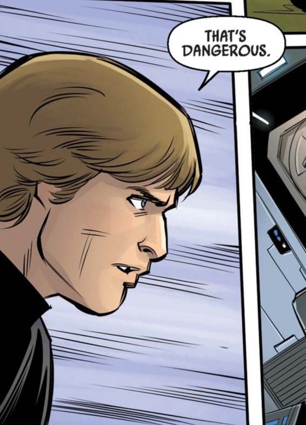 Luke Skywalker in a Star Wars comic panel: "That's dangerous."