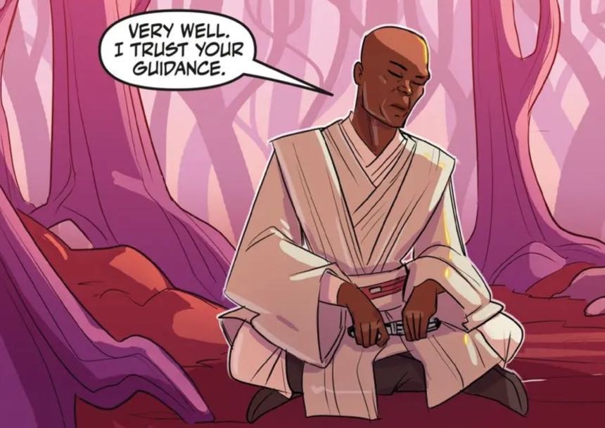 Mace Windu in a Star Wars comic panel: "Very well. I trust your guidance."