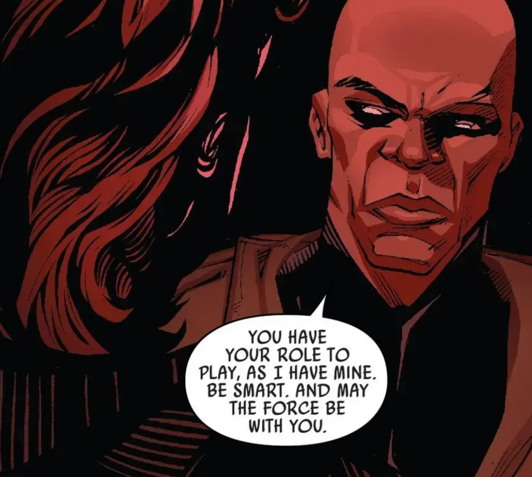 Mace Windu in a Star Wars comic panel: "You have your role to play, as I have mine. Be smart. And may the Force be with you."