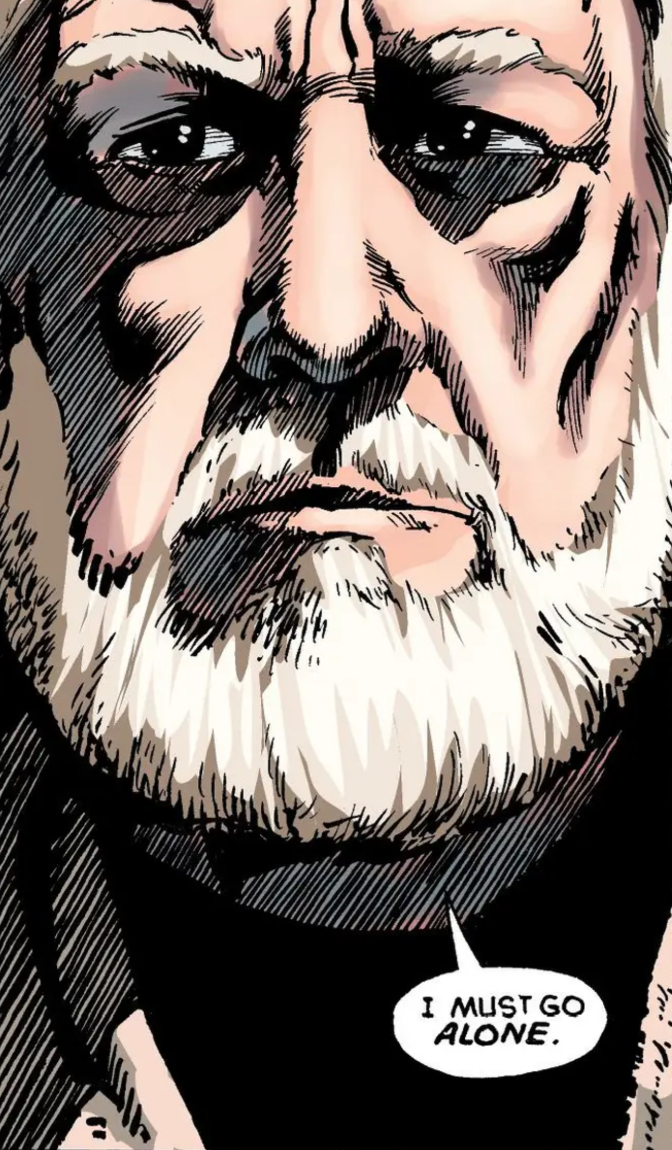 Obi-Wan Kenobi in a Star Wars comic panel: "I must go alone."