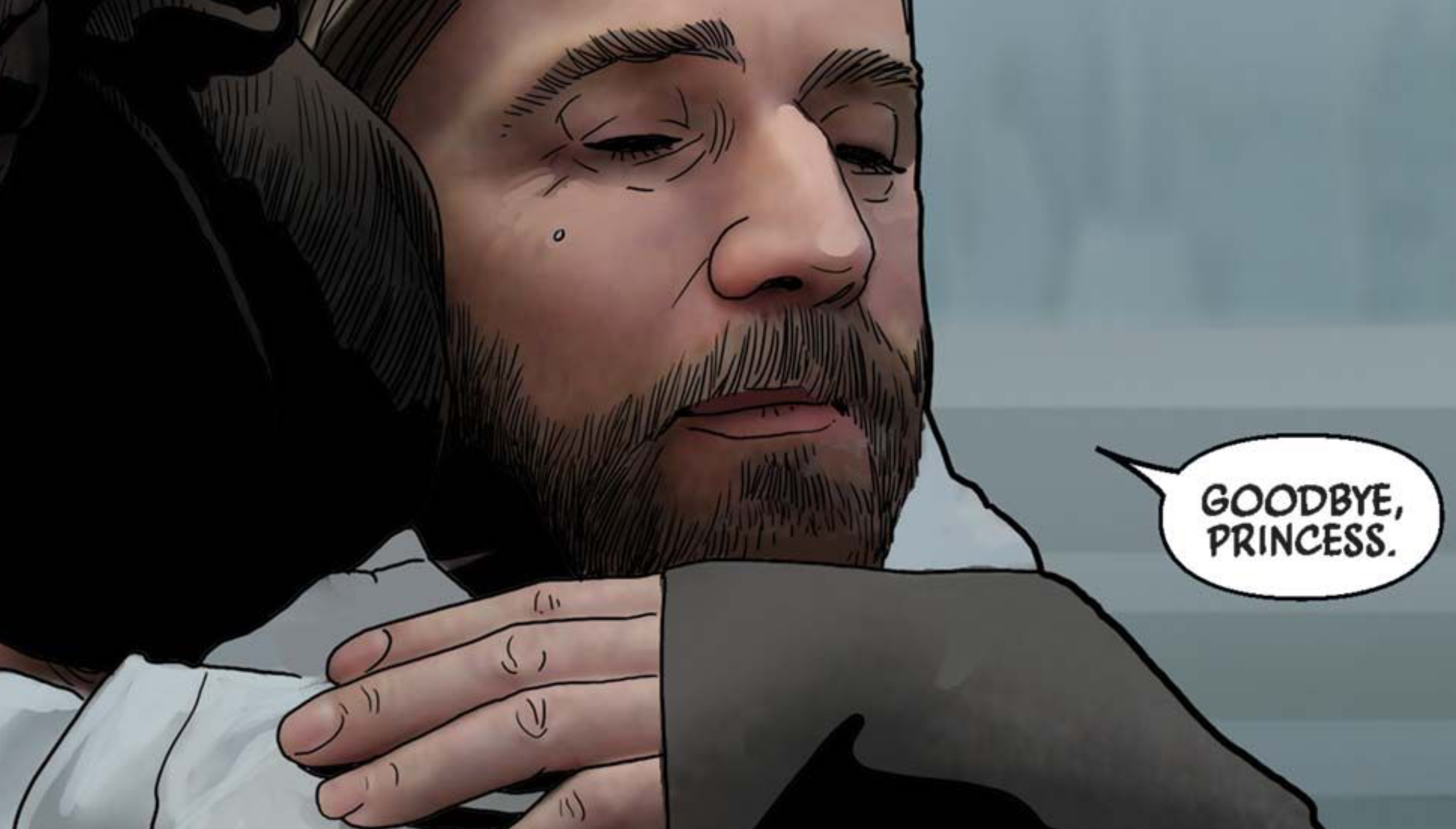 Obi-Wan Kenobi & Leia Organa in a Star Wars comic panel: "Goodbye, Princess."