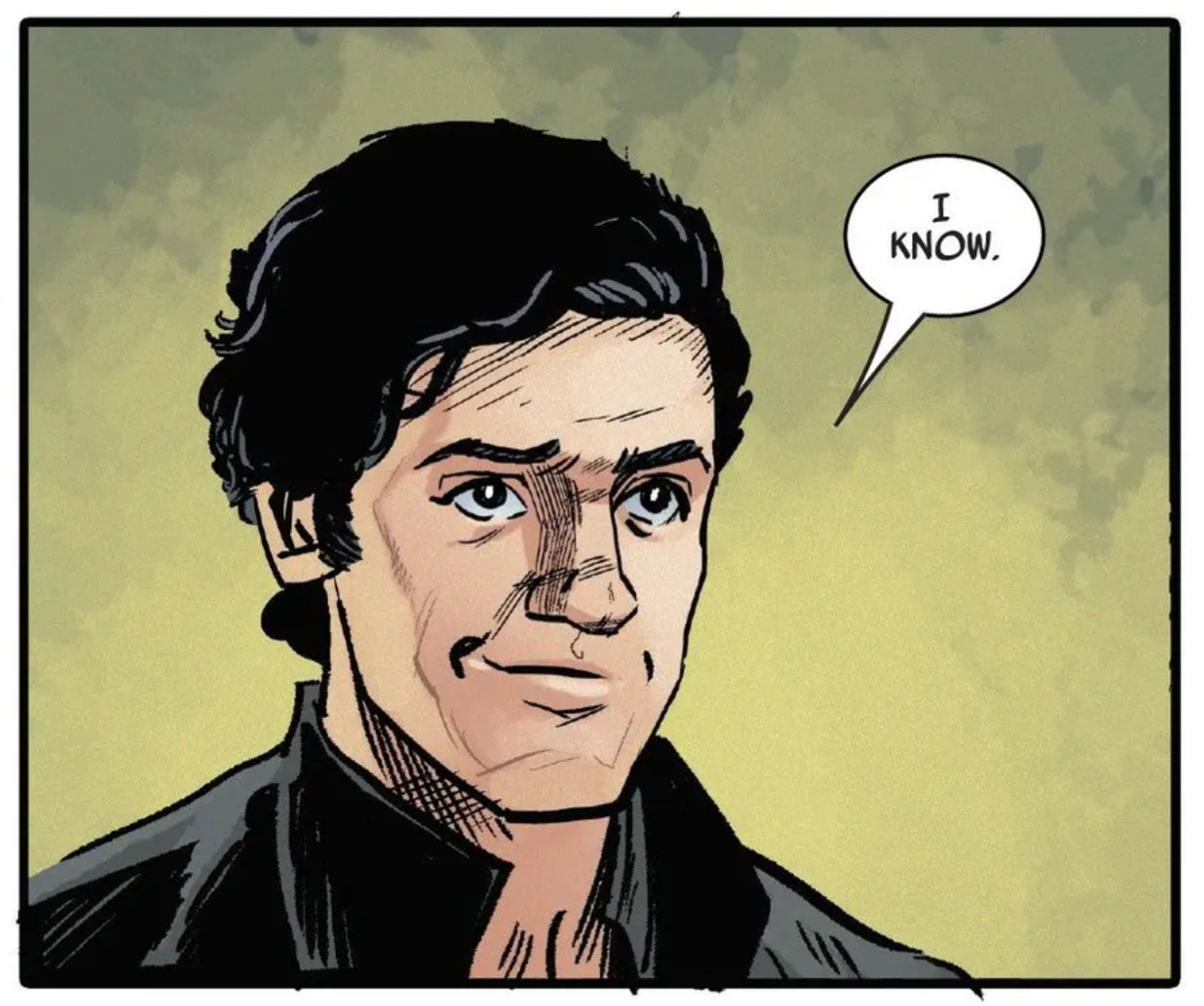 Han Solo in a Star Wars comic panel: "I know."