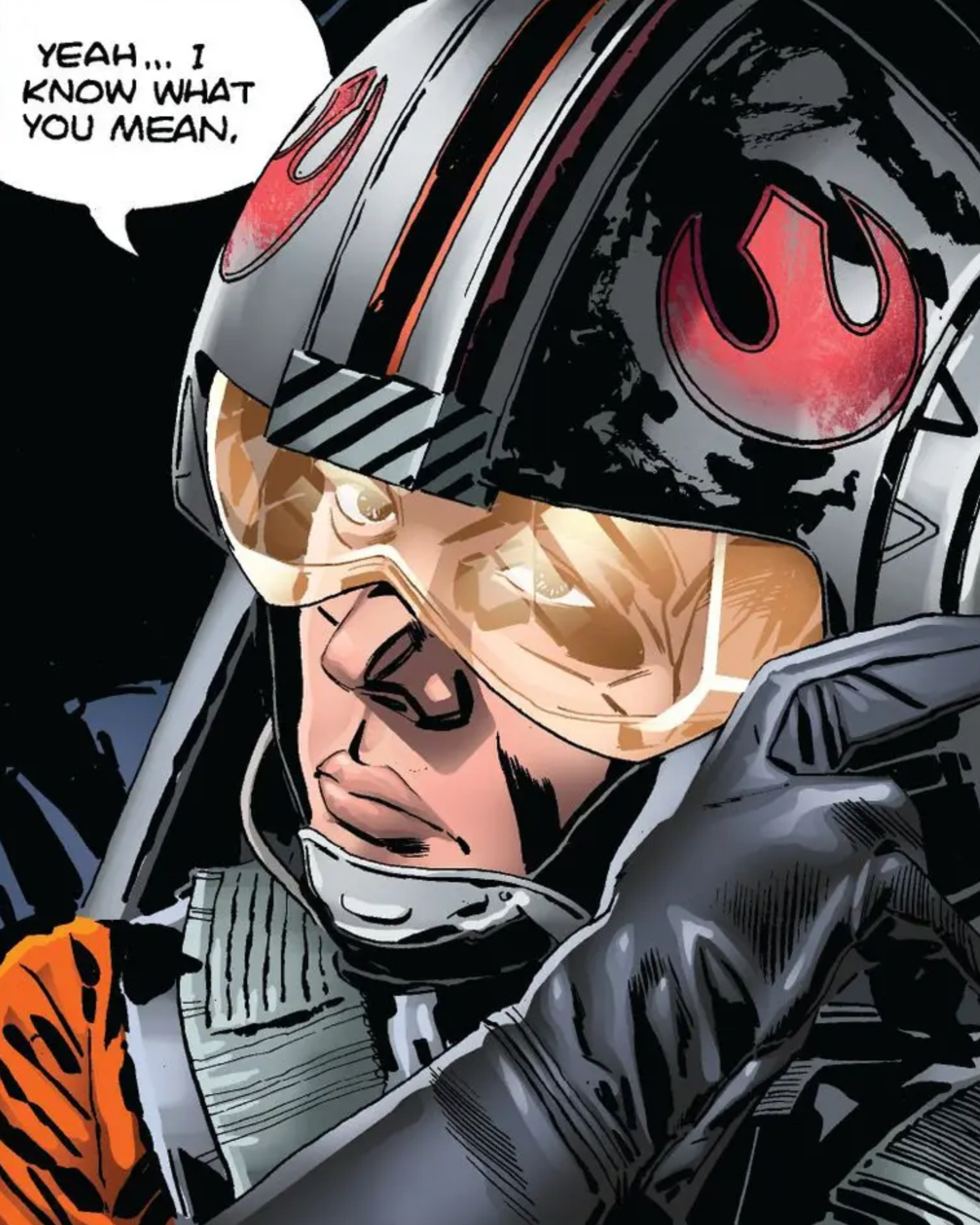 Poe Dameron in a Star Wars comic panel: "Yeah... I know what you mean."