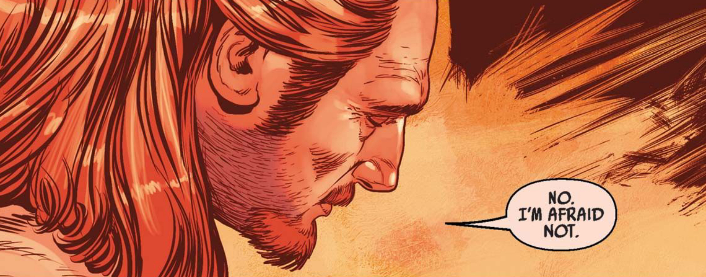 Qui-Gon Jinn in a Star Wars comic panel: "No. I'm afraid not."