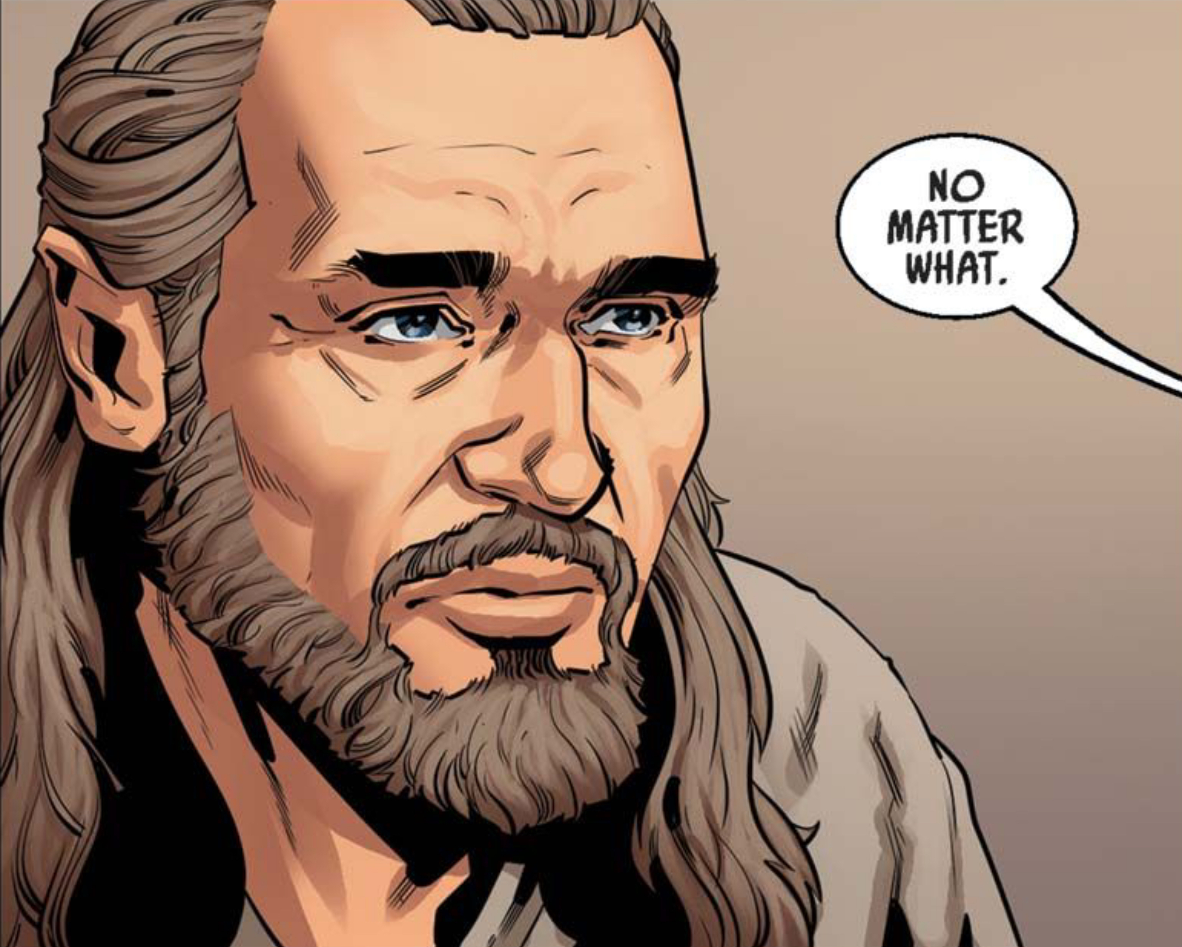 Qui-Gon Jinn in a Star Wars comic panel: "No matter what."