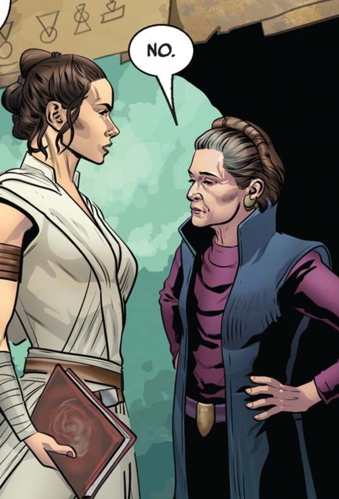 Rey & Leia Organa in a Star Wars comic panel: "No."