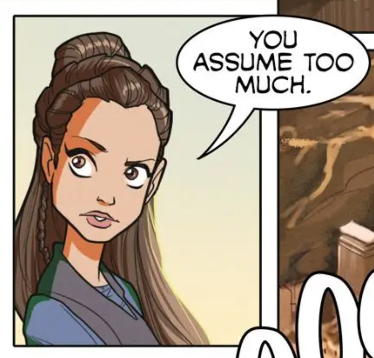 Padmé Amidala in a Star Wars comic panel: "You assume too much."
