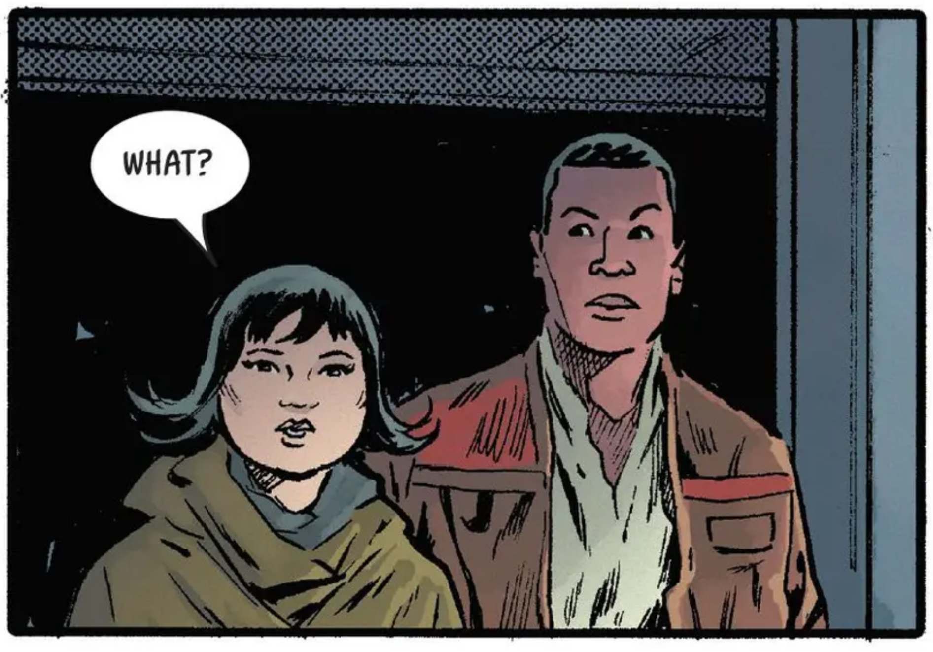 Rose Tico & Finn in a Star Wars comic panel: "What?"
