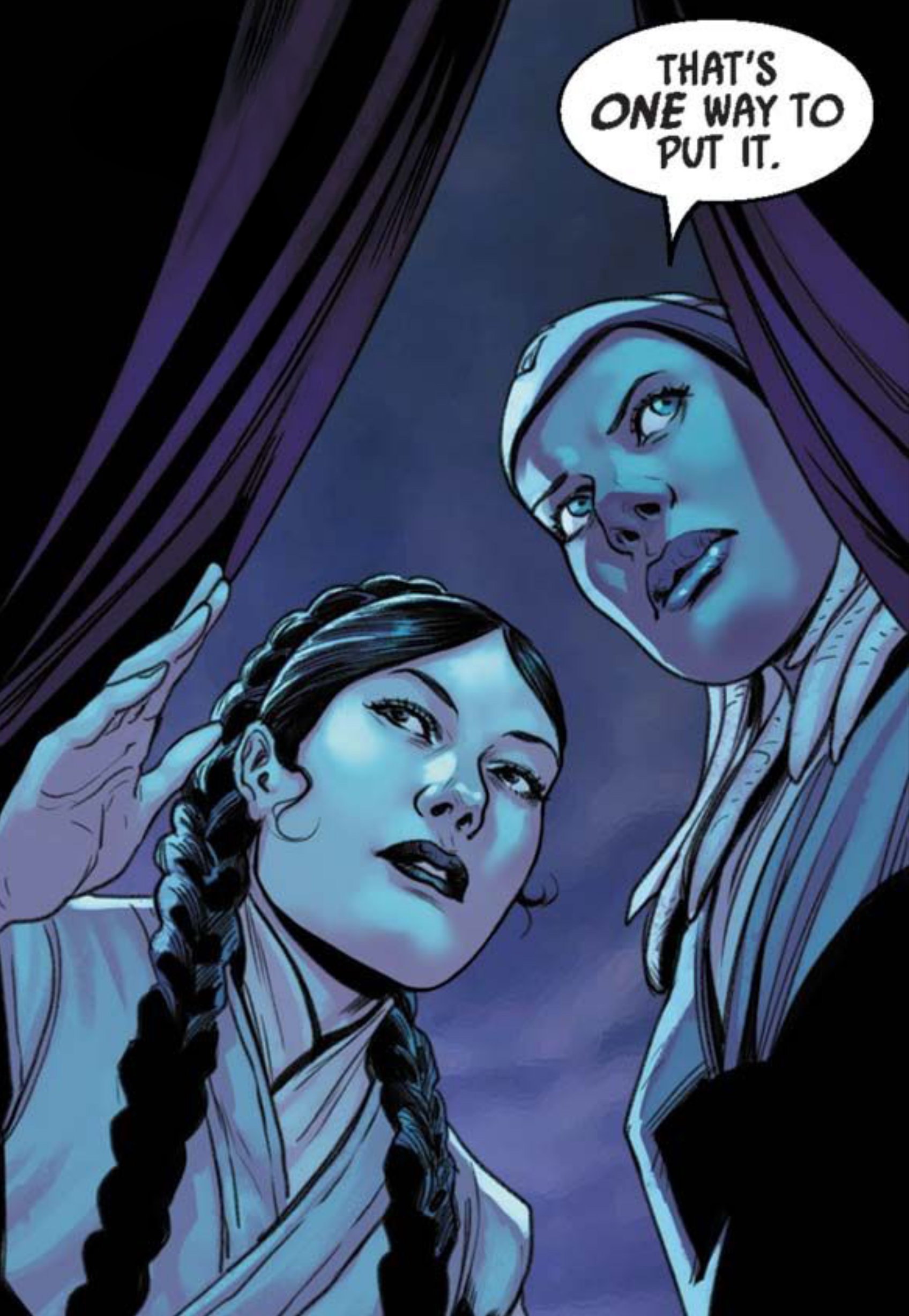 Leia Organa in a Star Wars comic panel: "That's one way to put it."