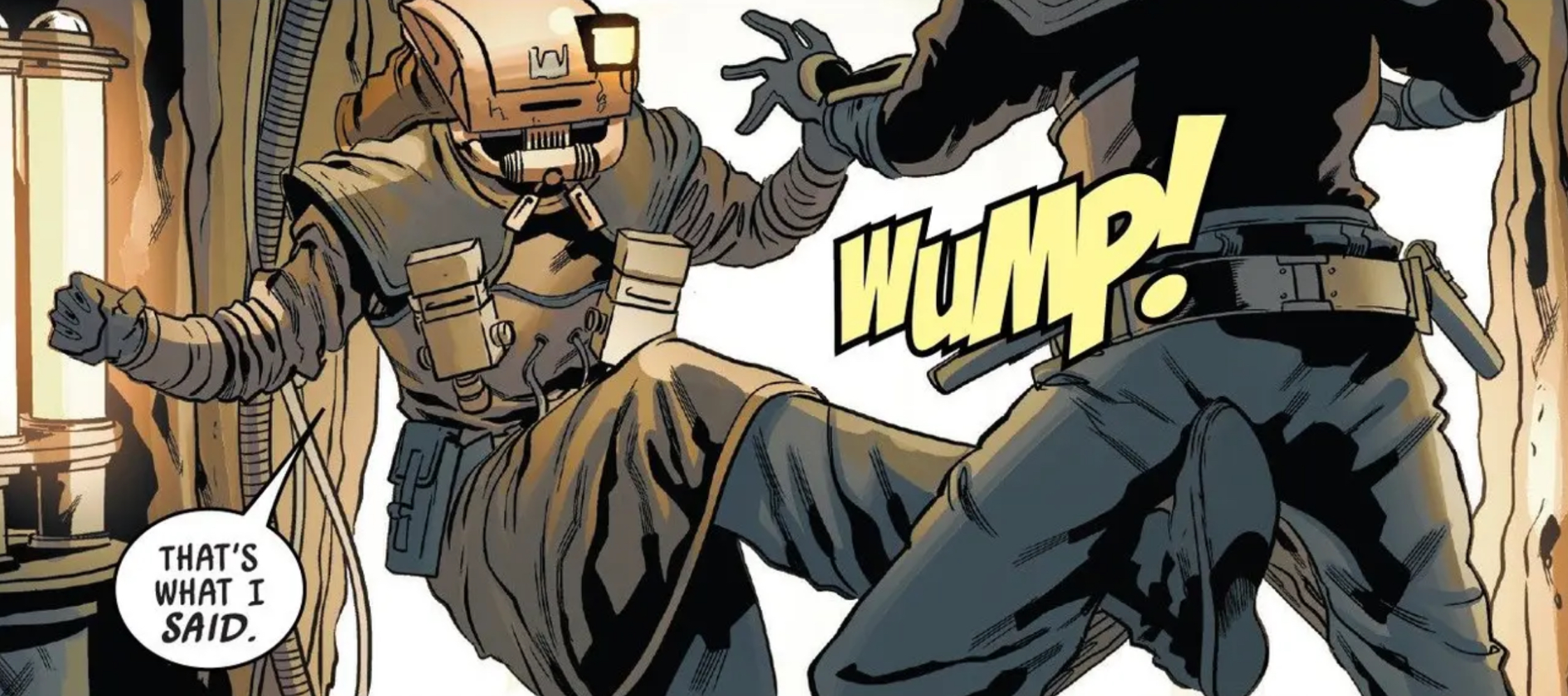Leia Organa in a Star Wars comic panel: "That's what I said."