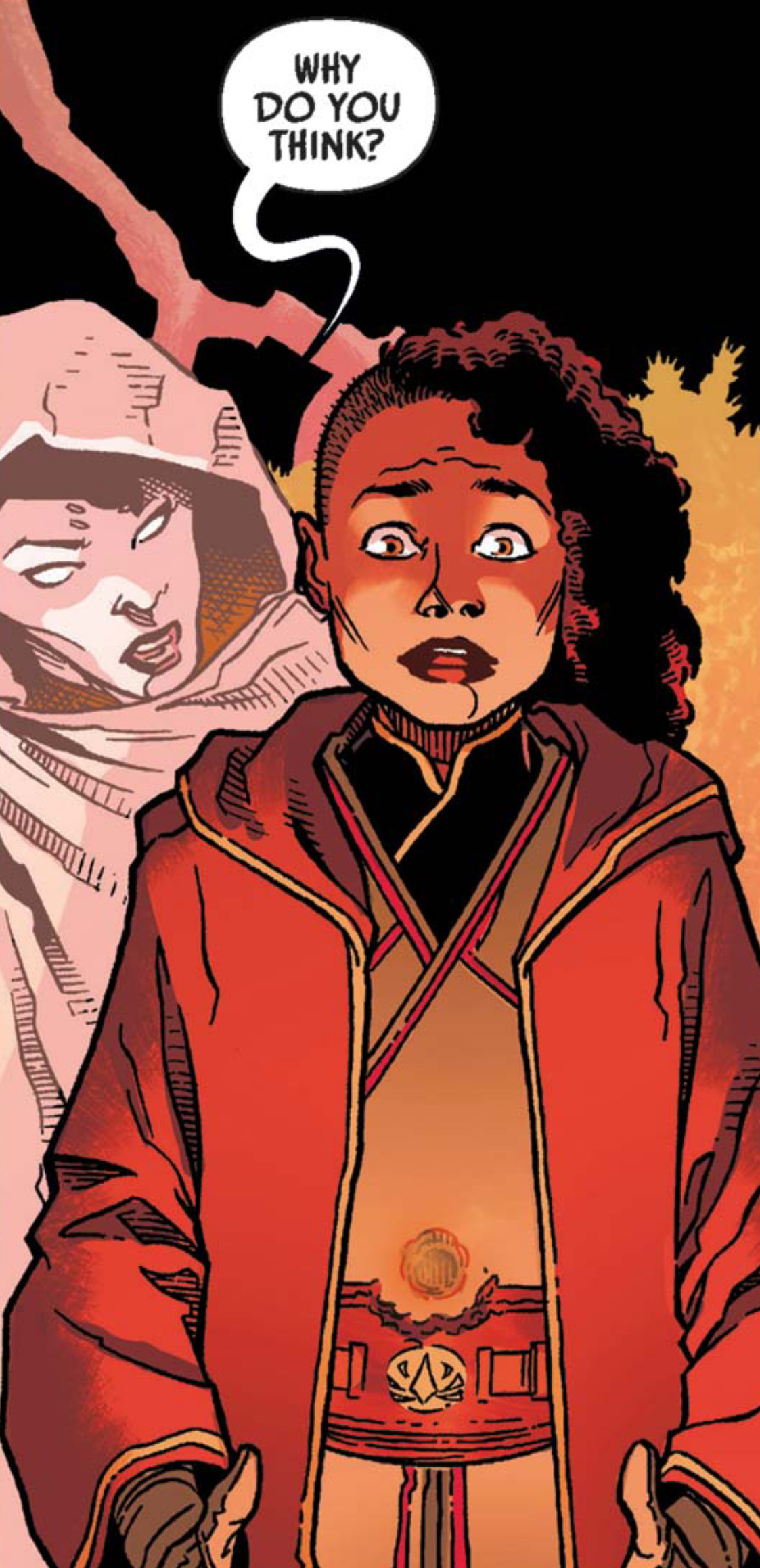 Lula Talisola in a Star Wars comic panel: "Why do you think?"