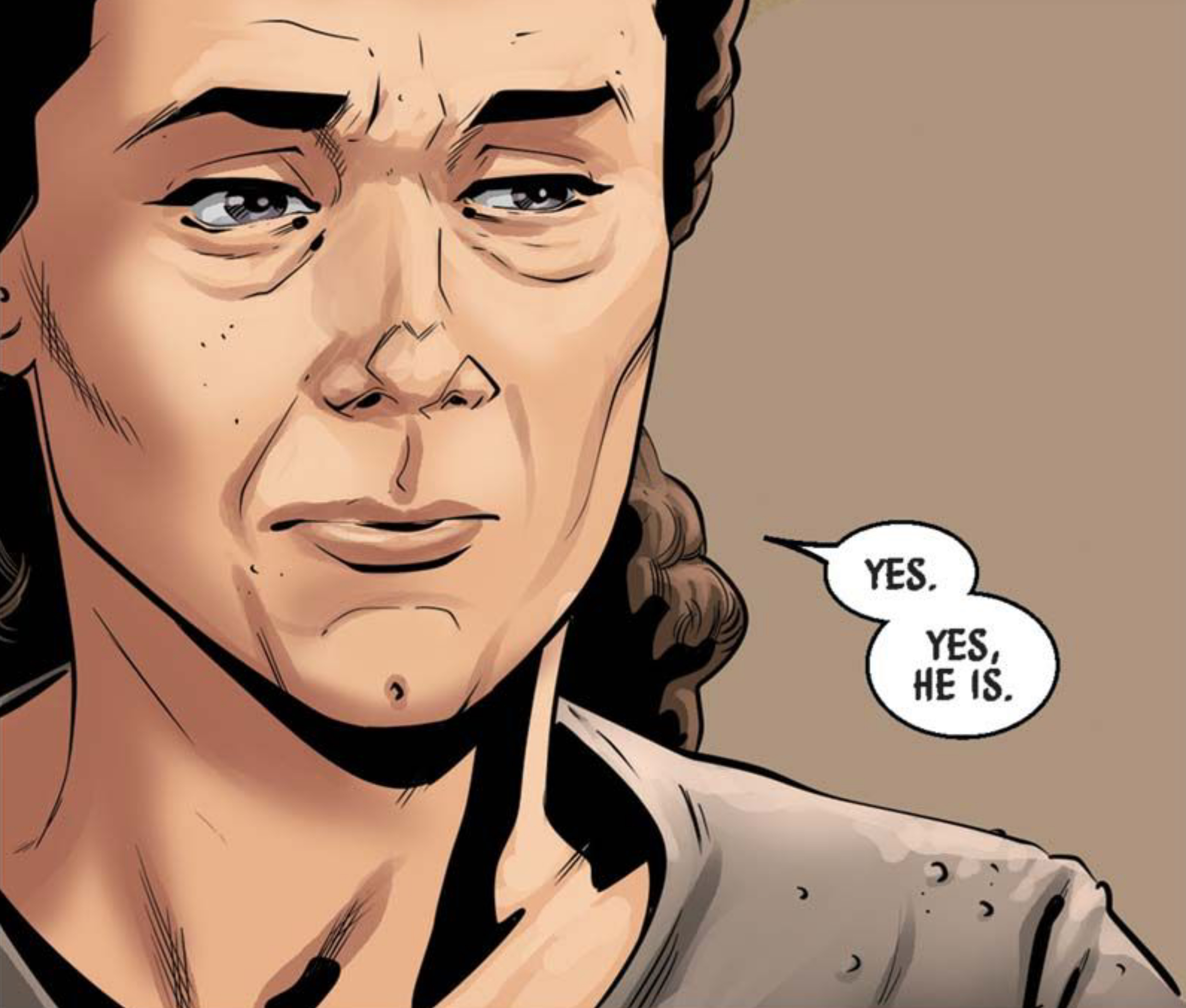 Leia Organa in a Star Wars comic panel: "Yes. Yes, he is."