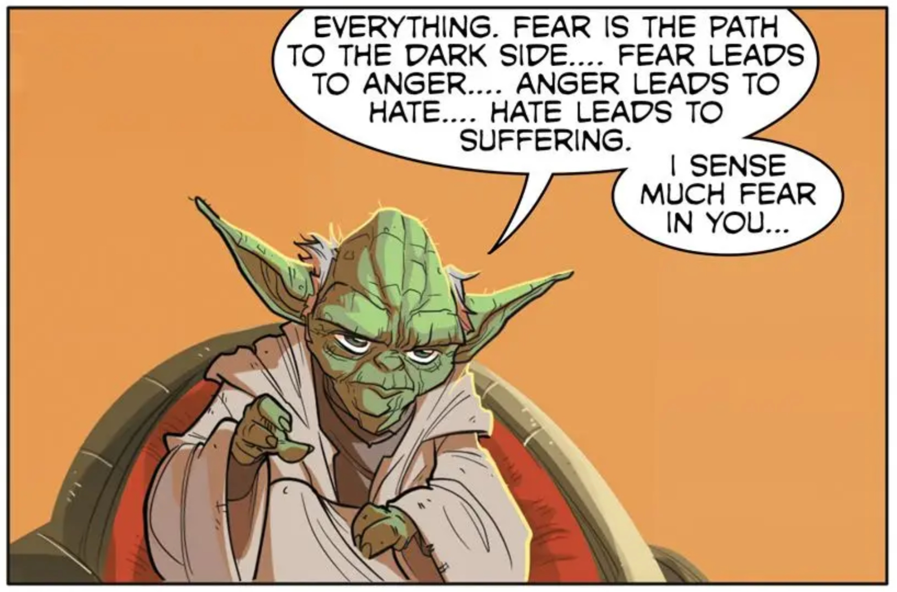 Yoda in a Star Wars comic panel: "Everything. Fear is the path to the dark side. Fear leads to anger. Anger leads to hate. Hate leads to suffering. I sense much fear in you."